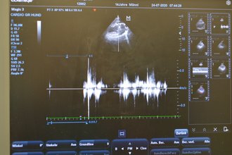 Blutflussmessung beim Herzultraschall